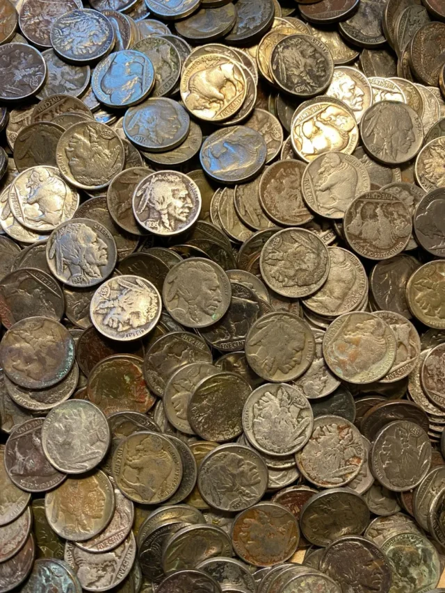 Top 8 Rarest Buffalo Nickels Ever Made