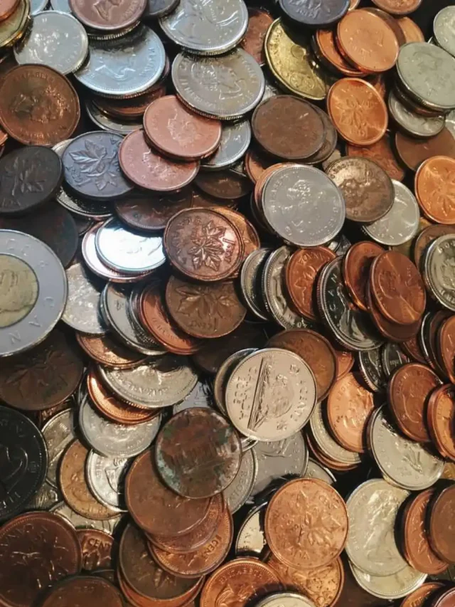 The 11 Most Valuable Buffalo Coins Every Collector Must Have