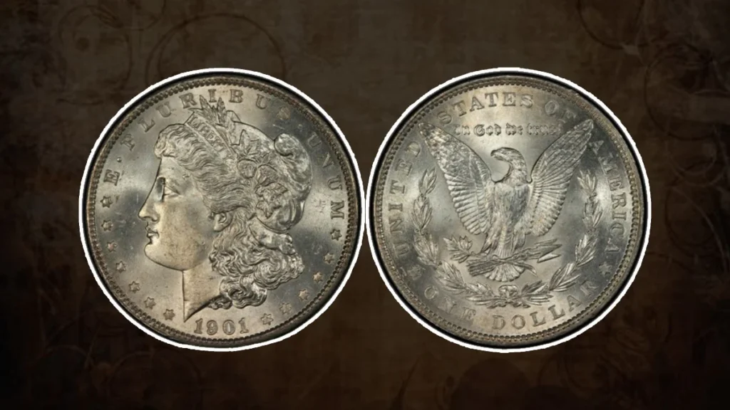 How to Grade Morgan Silver Dollars?