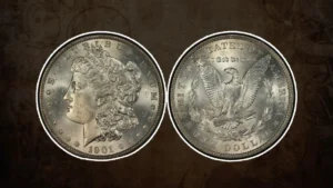 How to Grade Morgan Silver Dollars?